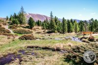 Watermark_14IMG_9450-2