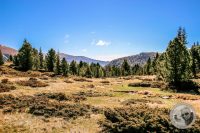 Watermark_18IMG_9454-2