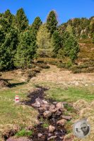 Watermark_21IMG_9457-2