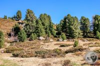 Watermark_22IMG_9458-2