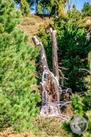 Watermark_23IMG_9459-2