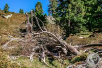 Watermark_24IMG_9460-2