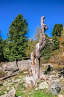 Watermark_28IMG_9464-2