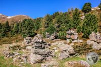 Watermark_32IMG_9468-2