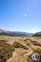 Watermark_33IMG_9469-2