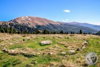 Watermark_34IMG_9470-2