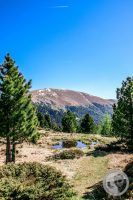 Watermark_36IMG_9472-2