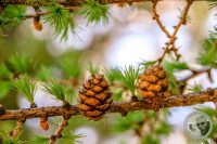 Watermark_37IMG_9473-2