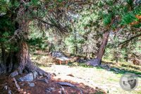 Watermark_38IMG_9474-2