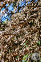 Watermark_39IMG_9475-2