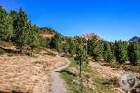 Watermark_3IMG_9439-2