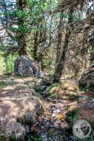 Watermark_40IMG_9476-2