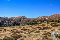 Watermark_48IMG_9482-2