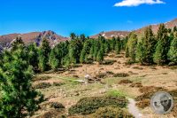 Watermark_51IMG_9485-2