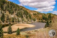 Watermark_85IMG_9488-2