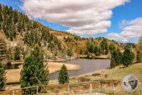 Watermark_86IMG_9489-2