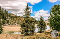 Watermark_89IMG_9492-2