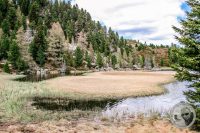 Watermark_90IMG_9493-2