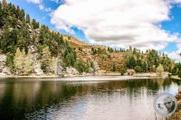 Watermark_92IMG_9495-2