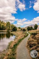 Watermark_94IMG_9497-2