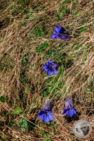 Watermark_9IMG_9445-2