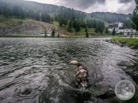 12IMG_20250605_152254-Kopie