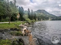 17IMG_20250605_152330-Kopie