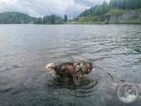 18IMG_20250605_152343-Kopie