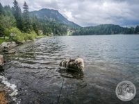 23IMG_20250605_152545-Kopie