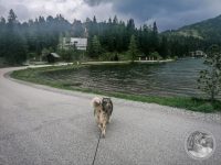 2IMG_20250605_151758-Kopie