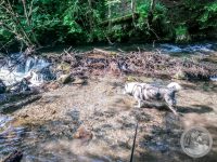 2IMG_20250605_172325-Kopie