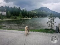 3IMG_20250605_151759-Kopie