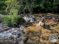 3IMG_20250605_172329-Kopie