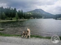 4IMG_20250605_151804-Kopie