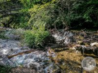 4IMG_20250605_172328-Kopie
