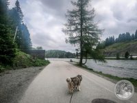 5IMG_20250605_151943-Kopie