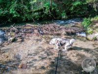 5IMG_20250605_172324-Kopie