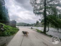 6IMG_20250605_151950-Kopie