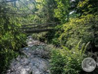 6IMG_20250605_172343-Kopie