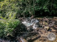 7IMG_20250605_172348-Kopie