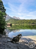 IMG_20210628_114038-Kopie