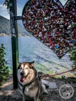 IMG_20210628_150347-Kopie