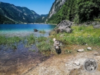 IMG_20210629_124908-Kopie