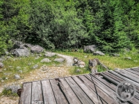 IMG_20210629_132513-Kopie