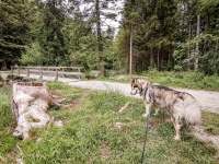 IMG_20210630_113616