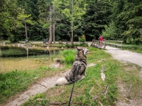 IMG_20210630_114646