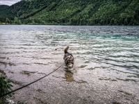 IMG_20210630_125740