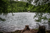 IMG_6790