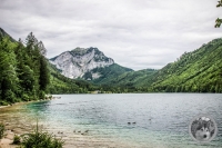 IMG_6809-Kopie