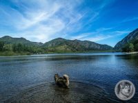 10IMG_20240515_105211-Kopie